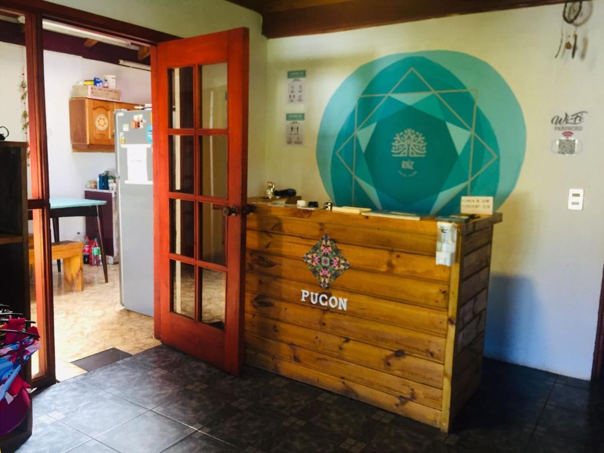 Hostel Raiz Pucón Εξωτερικό φωτογραφία