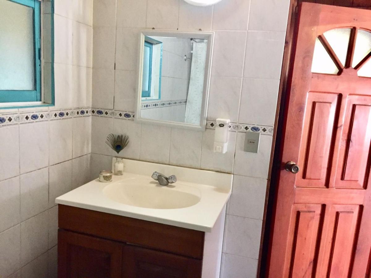Hostel Raiz Pucón Εξωτερικό φωτογραφία