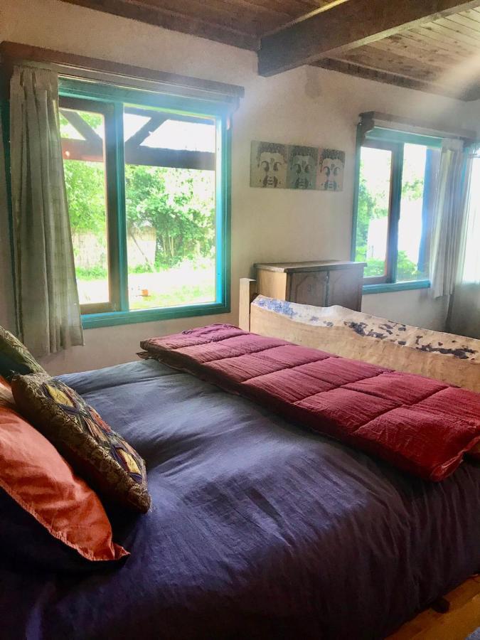 Hostel Raiz Pucón Εξωτερικό φωτογραφία