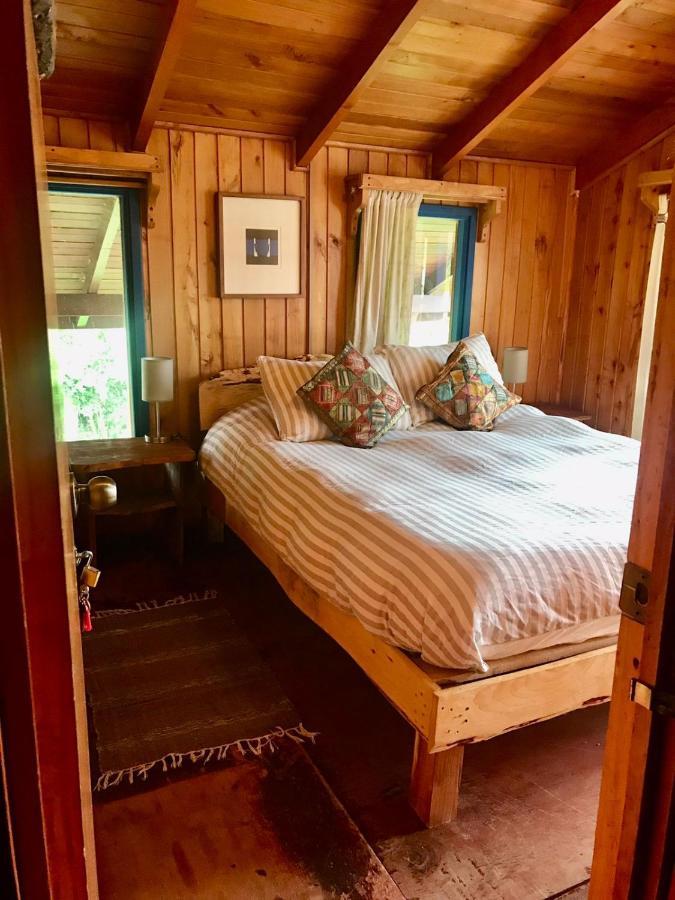 Hostel Raiz Pucón Εξωτερικό φωτογραφία