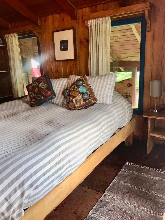 Hostel Raiz Pucón Εξωτερικό φωτογραφία